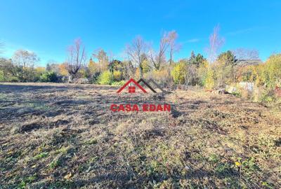 Teren intravilan in Cornu 3171 mp--89.000e - 6