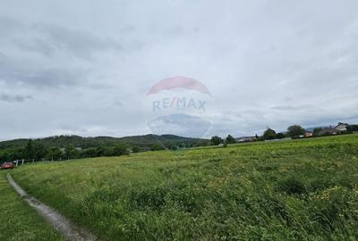 Teren Construcții intravilan de 1495 mp, în Dobreni - 10