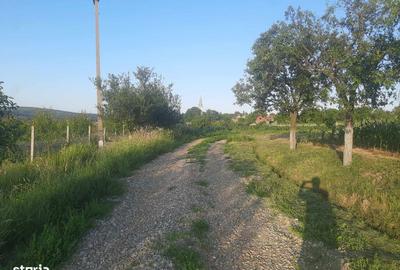 Teren de 894 mp, în Central