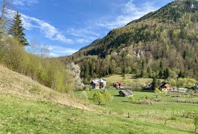 Teren panoramic insorit, utilitati, panta mica si padure, turism sau vacanta
