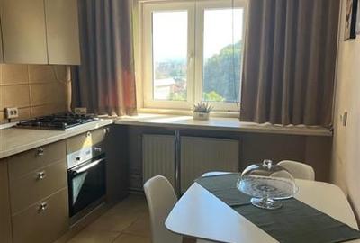 3D!Rezidenta decomandata,mobilata, accesorizata,priveliste montana,Racadau, Bras - 10