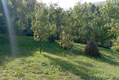 Casă cu 3 camere cu Teren 66 Mp în Secăria - 7