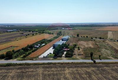 Teren 10960mp intravilan Focsani / DN 25 Soseaua Galati - 7