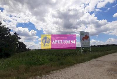 Teren de 715 mp, în Snagov - 27