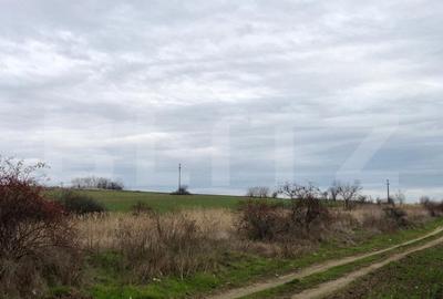 Teren Construcții intravilan de 3800 mp, în Nord-Est - 1