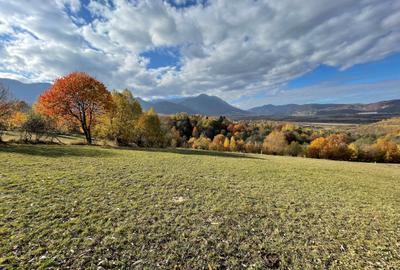 Teren intravilan loturi intre 500 si 1000 m la 14 km de Rasnov