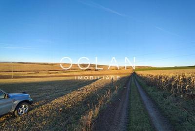 Teren intravilan cu PUZ pentru investitie - 26.100 mp - Sura Mare - 4