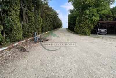 Spatiu industrial, Bartolomeu, teren 3000 mp - 13