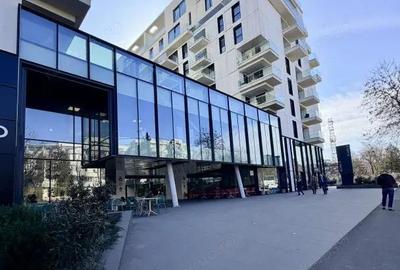 Apartament cu 2 camere semidecomandat în Herăstrău - 19