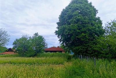 2335 mp TEREN INTRAVILAN, Negreni – Cluj, la 100 m de E60 Cluj – Oradea - 16