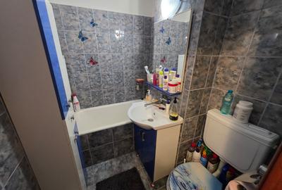 Apartament cu 2 camere semidecomandat, mobilat în Viziru 3 - 7