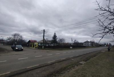 Casă cu Teren 3976 Mp în Dumbrăvița - 1