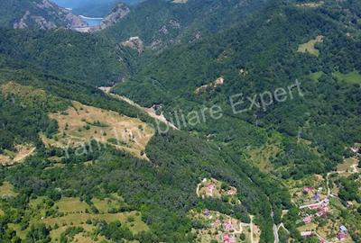 Teren de 75200 mp, în Arefu - 1