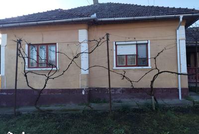 Casă cu 3 camere cu Teren 738 Mp în Ohaba - 15