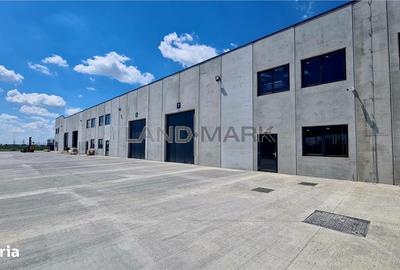 Spațiu comercial, de 523 mp, în Dumbrăvița - 3