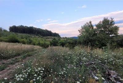 Teren agricol extravilan de 38000 mp, în Gușterița - 3