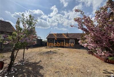 Casă cu 4 camere cu Teren 5526 Mp în Cociuba Mare - 1