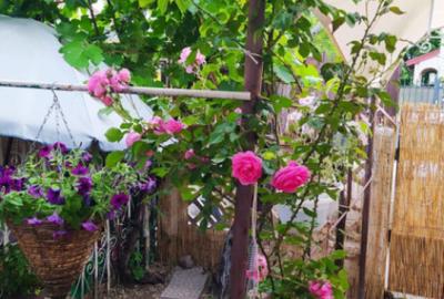 Casa Mihai Bravu -Calea Vitan - 8