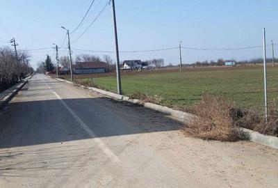 Teren de 5000 mp, în Slobozia Nouă - 3