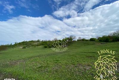 Teren de 5000 mp, în Feldru - 1