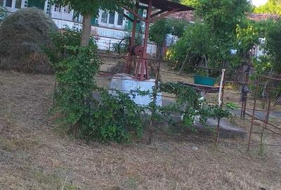 Casă cu 4 camere în Văleni - 3