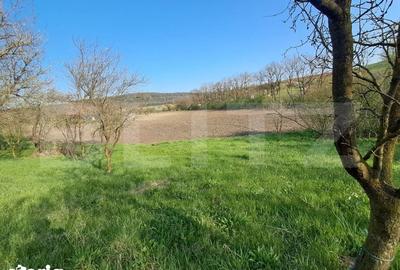 Casă cu 4 camere cu Teren 15000 Mp în Bichiș - 15