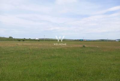 Teren Extravilan situat in Sibiu - Calea Surii Mici - 3