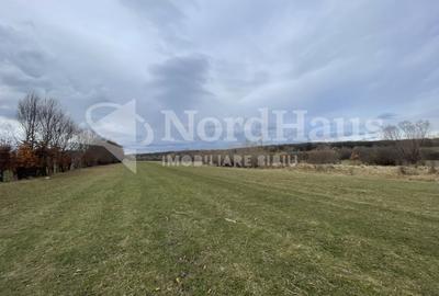 Teren agricol intravilan de 4400 mp, în Arhitecților - Calea Cisnădiei - 4