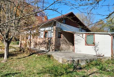 Iedera, Cricovul Dulce, casa de vanzare 90 mp, teren 2.450 mp - 5