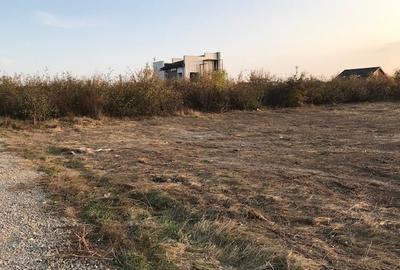 Teren Mogosoaia intravilan - 1