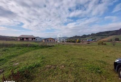 Spațiu comercial, în Poienița - 2