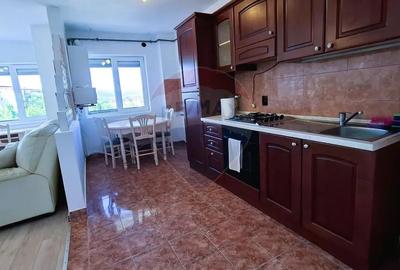 Apartament cu 2 camere decomandat, mobilat în Tilișca - 3