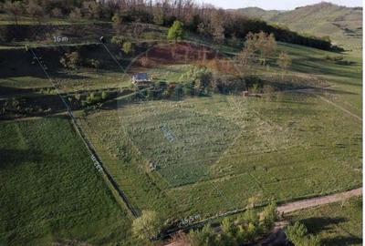 Teren de 1967 mp, în Vest - 2