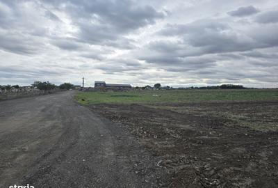 Spațiu comercial, în Central - 6