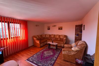 Casă de vacanță sau locuință permanentă în Găiseanca 142 mp 3600 mp Teren - 8