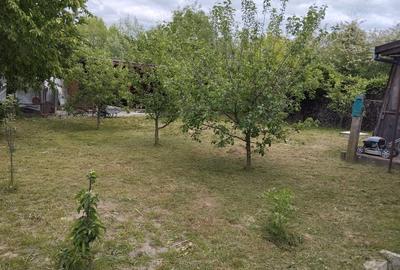 Casă cu 6 camere în Oțelu Roșu - 6