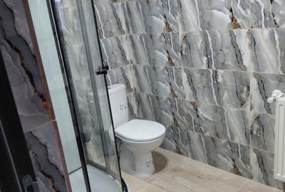 Casă cu 4 camere în Odaia Manolache - 3