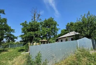 Casă cu 3 camere cu Teren 1900 Mp în Ion Creangă - 10
