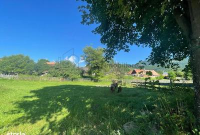 Spațiu comercial, în Moieciu - 10