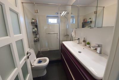 Casa de vacanta | Curte | Teren | Belciugatele | Calarasi - 14