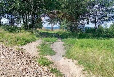 Teren agricol extravilan de 1915 mp, în Breb - 5