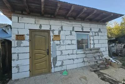 Vand casa in Teleorman, sat Albeni - 9