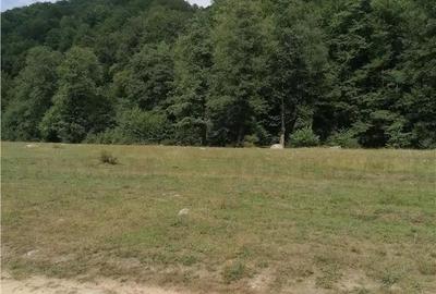 Teren intravilan - Berevoiesti - Arges - 3