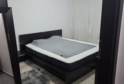 Apartament cu 2 camere decomandat, mobilat în Județean - 3