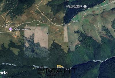 Spațiu comercial, în Paltin - 1