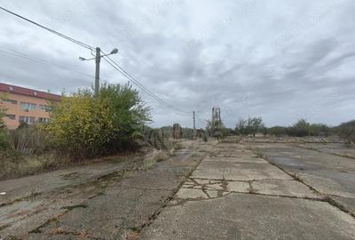 Teren de 45500 mp, în Albert - 2