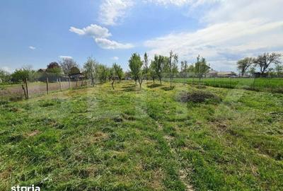 Teren de 1500 mp, în Viile Satu Mare - 10