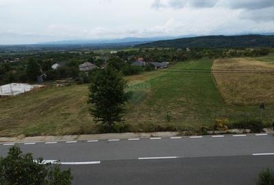 Teren 800mp Coas / Strada Principala - 4