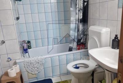 Vanzare apartament 3 camere (E1+M) in Vila (S+P+E1+M) - Teiul Doamnei - 20
