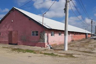 Inchiriez spatii comerciale Mosnita - 6